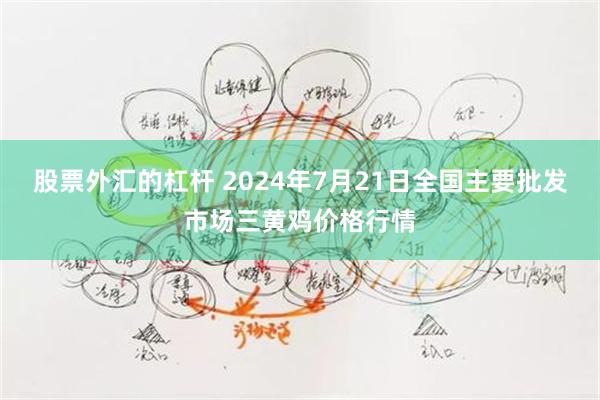 股票外汇的杠杆 2024年7月21日全国主要批发市场三黄鸡价格行情