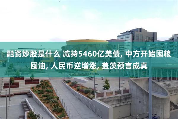 融资炒股是什么 减持5460亿美债, 中方开始囤粮囤油, 人民币逆增涨, 盖茨预言成真