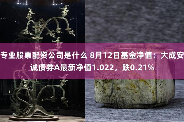 专业股票配资公司是什么 8月12日基金净值：大成安诚债券A最新净值1.022，跌0.21%