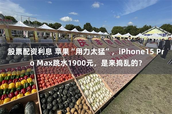 股票配资利息 苹果“用力太猛”，iPhone15 Pro Max跳水1900元，是来捣乱的？