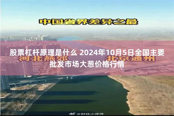 股票杠杆原理是什么 2024年10月5日全国主要批发市场大葱价格行情