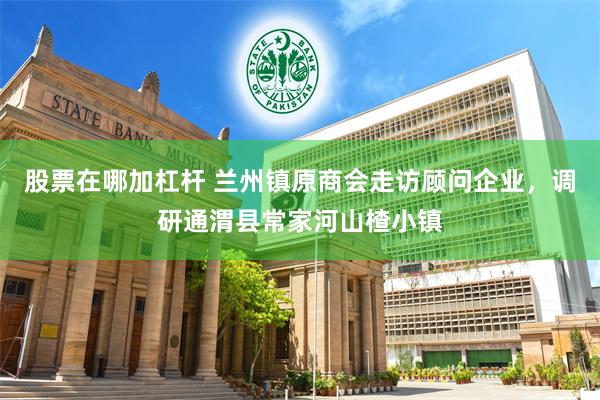 股票在哪加杠杆 兰州镇原商会走访顾问企业，调研通渭县常家河山楂小镇