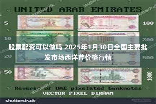 股票配资可以做吗 2025年1月30日全国主要批发市场西洋芹价格行情