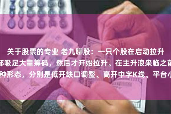 关于股票的专业 老九聊股：一只个股在启动拉升之前，通常主力会在底部吸足大量筹码，然后才开始拉升。在主升浪来临之前，可能会出现五种形态，分别是低开缺口调整、高开中字K线、平台小K线随后大阳线、巨量阴线调整和上下影...