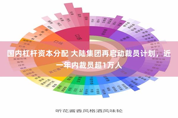 国内杠杆资本分配 大陆集团再启动裁员计划，近一年内裁员超1万人