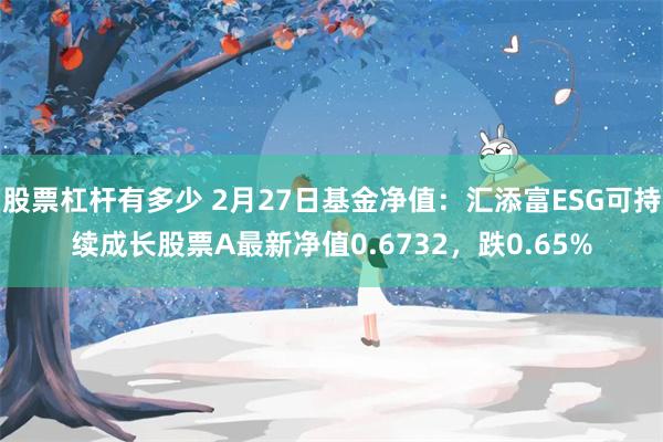 股票杠杆有多少 2月27日基金净值：汇添富ESG可持续成长股票A最新净值0.6732，跌0.65%