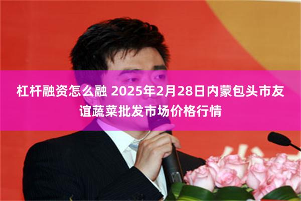 杠杆融资怎么融 2025年2月28日内蒙包头市友谊蔬菜批发市场价格行情