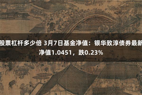 股票杠杆多少倍 3月7日基金净值：银华致淳债券最新净值1.0451，跌0.23%